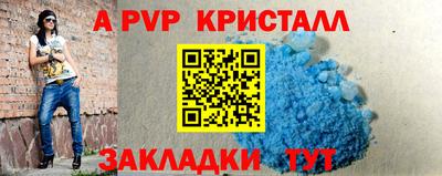 крисы Славгород