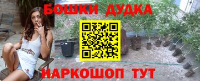 крисы Славгород