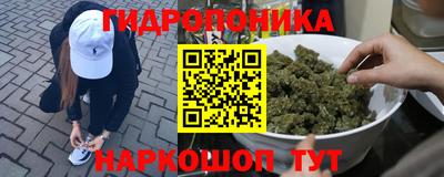 прущие грибы Славянск-на-Кубани