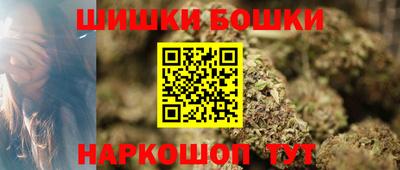 крисы Славгород