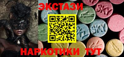 крисы Славгород