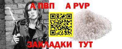 крисы Славгород