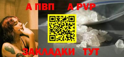 крисы Славгород