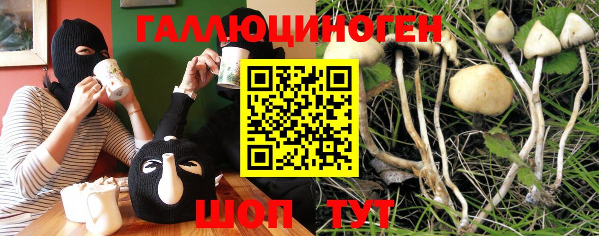 даркнет сайт  Вход с VPN  Новотроицк  Галлюциногенные грибы GOLDEN TEACHER 