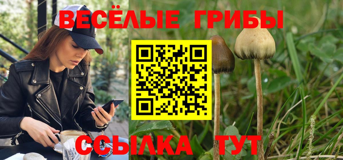 Галлюциногенные грибы Magic Shrooms Новотроицк